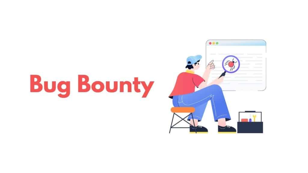 Bug Bounty - how programmers earn money