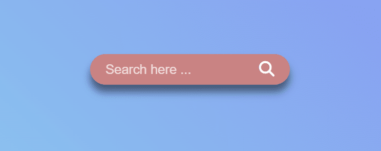 search bar - Web development project ideas