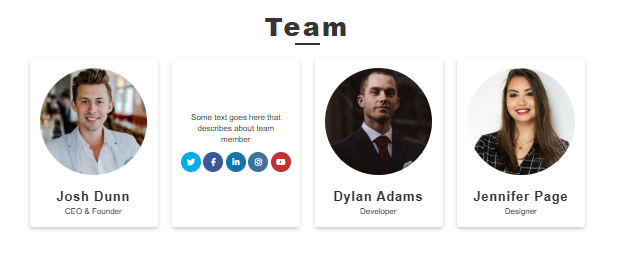Team member section