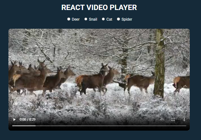 Video Player UI suing react