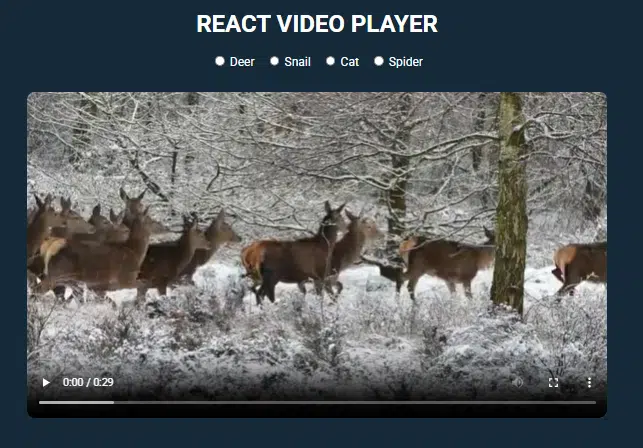 Video Player UI suing react